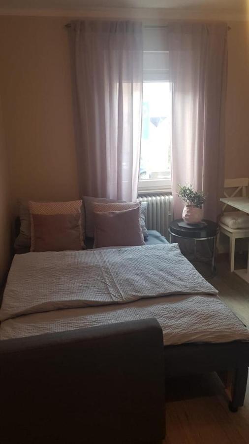 Villa Rosa Bad Camberg Kültér fotó